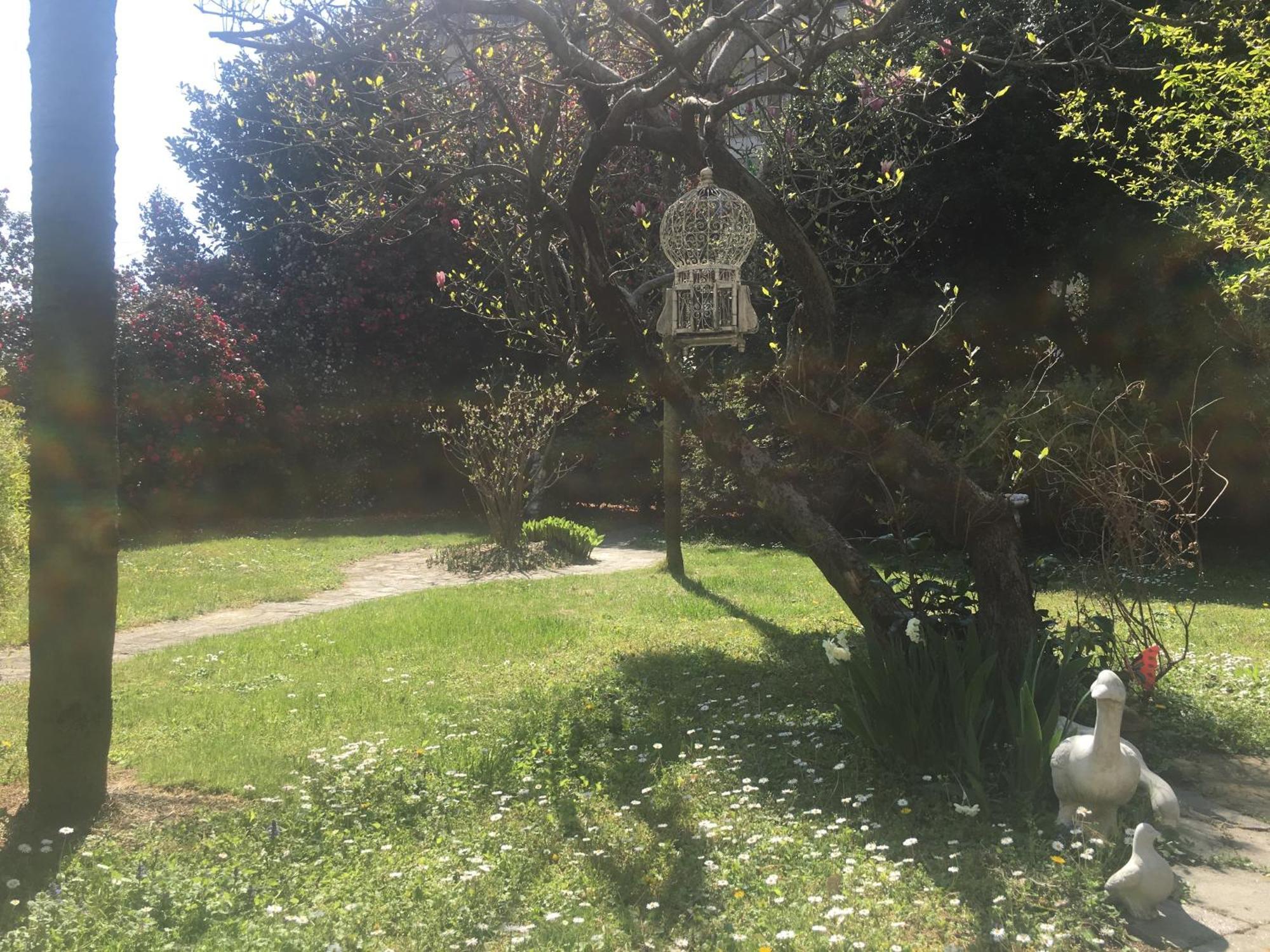La Pallanzotta Verbania Exterior foto